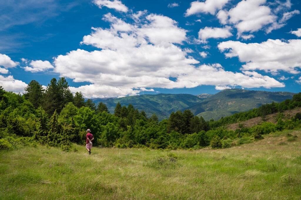 7 Incredible Places for Mushroom Hunting in Greece - Gastronomy Tours VALIA CALDA - Gastronomy Tours